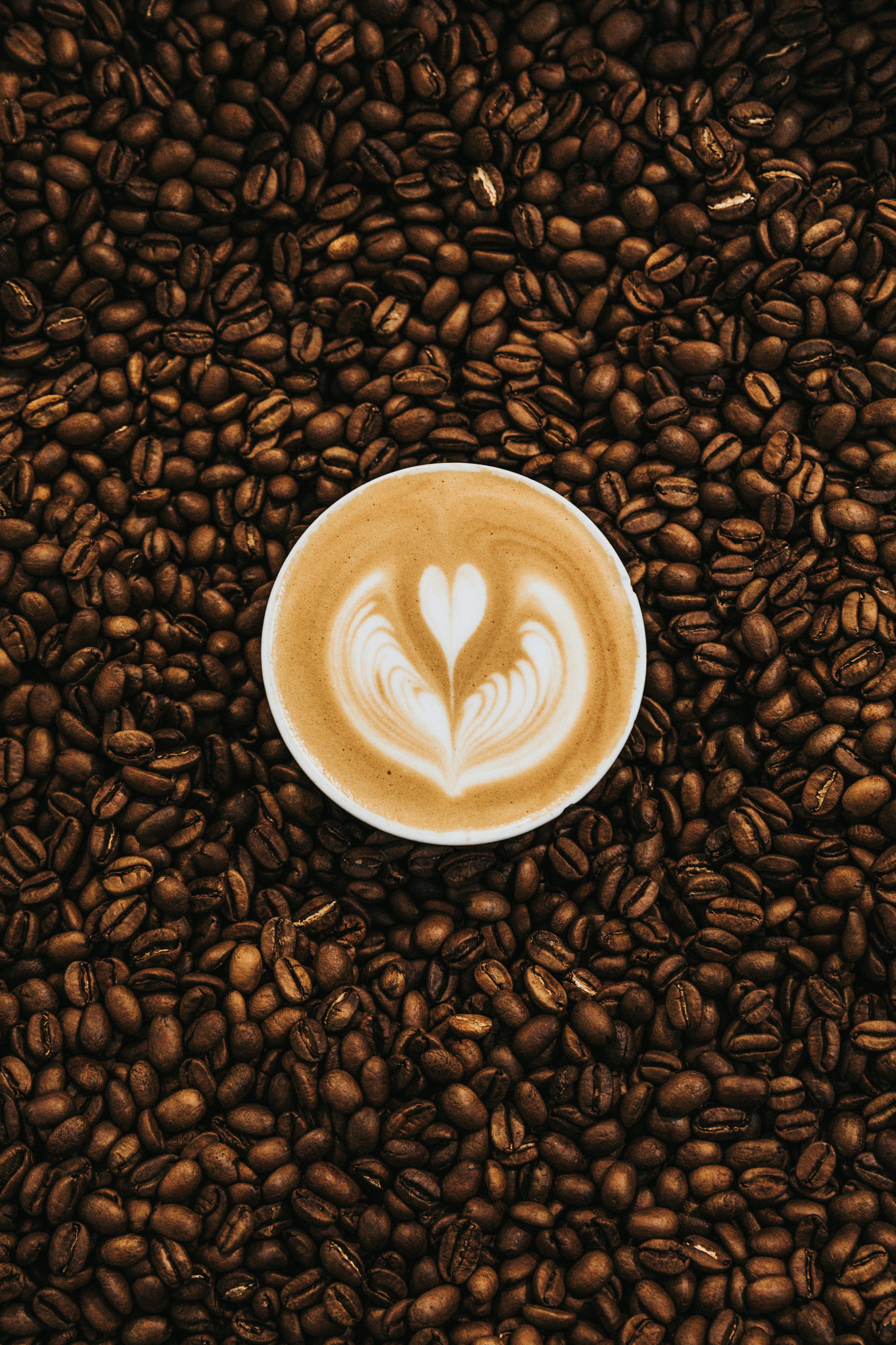 Mocha Java